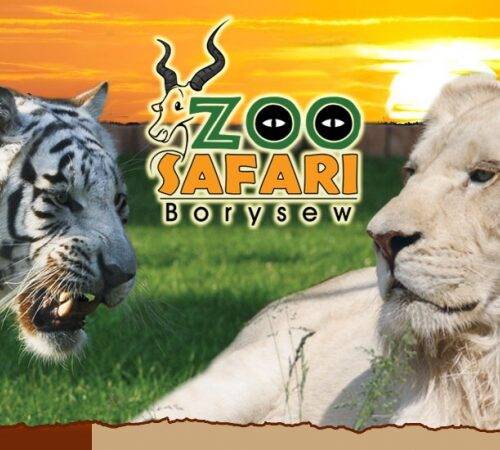 zoo borysew